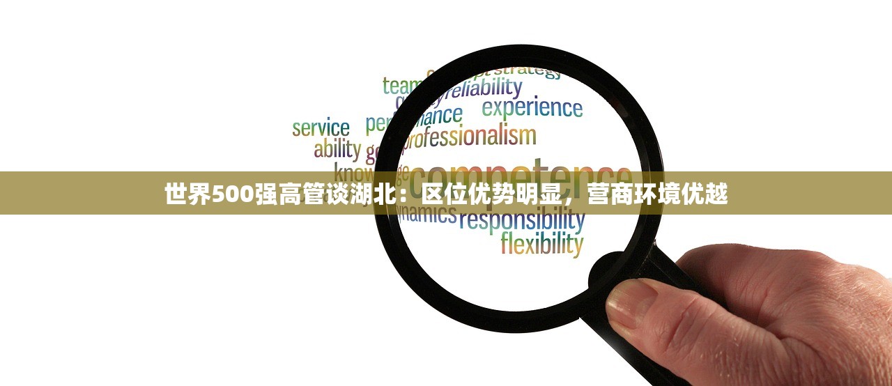 世界500强高管谈湖北:区位优势明显,营商环境优越 世界500强高管谈湖北:区位优势明显,营商环境优越