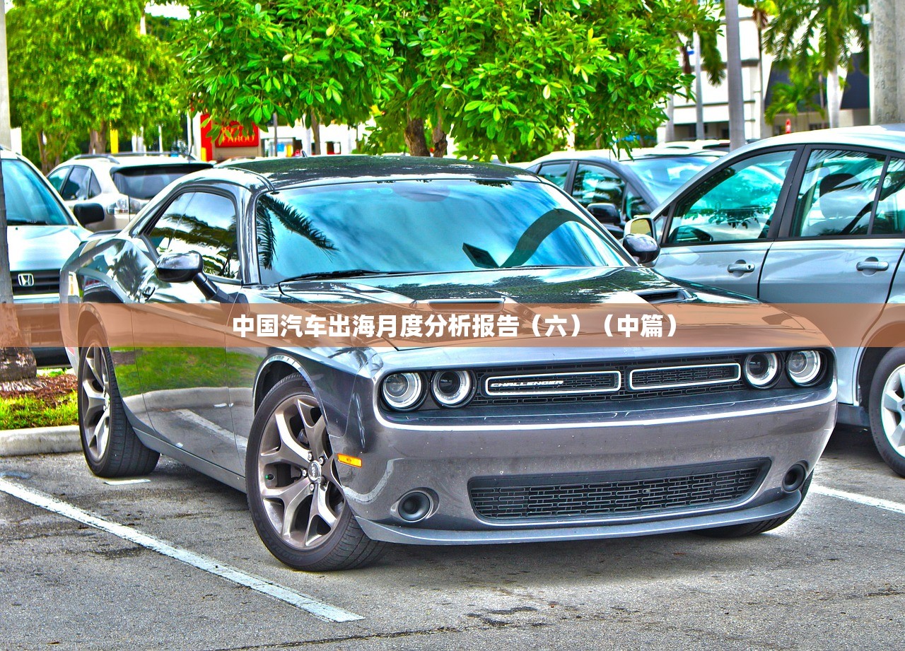 中国汽车出海月度分析报告(六)(中篇) 中国汽车出海月度分析报告(六)(中篇)