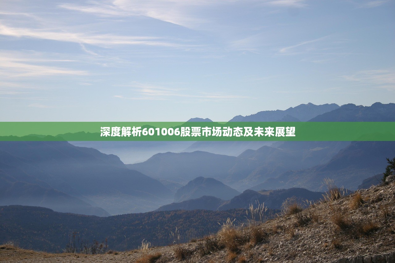 深度解析601006股票市场动态及未来展望 深度解析601006股票市场动态及未来展望