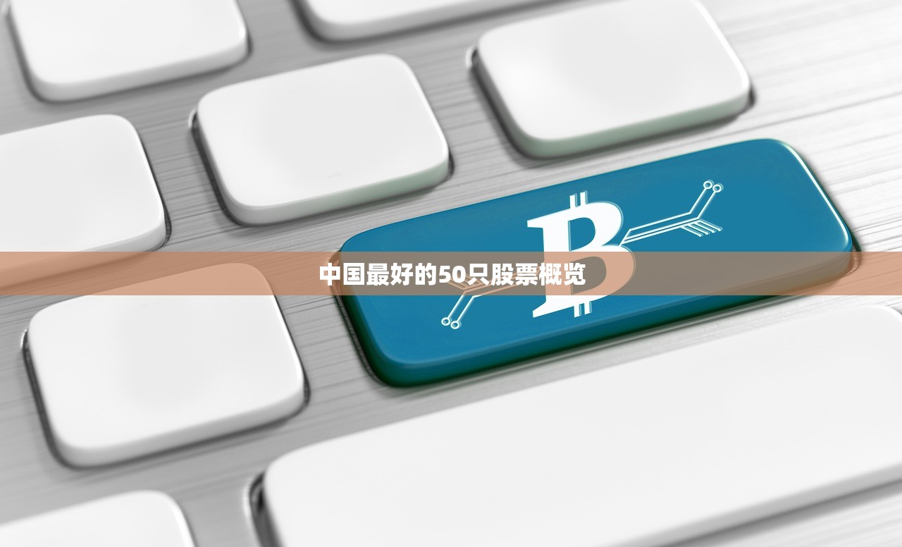 中国最好的50只股票概览