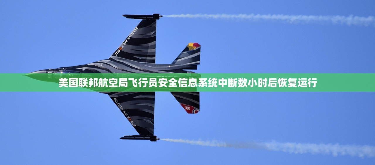 美国联邦航空局飞行员安全信息系统中断数小时后恢复运行