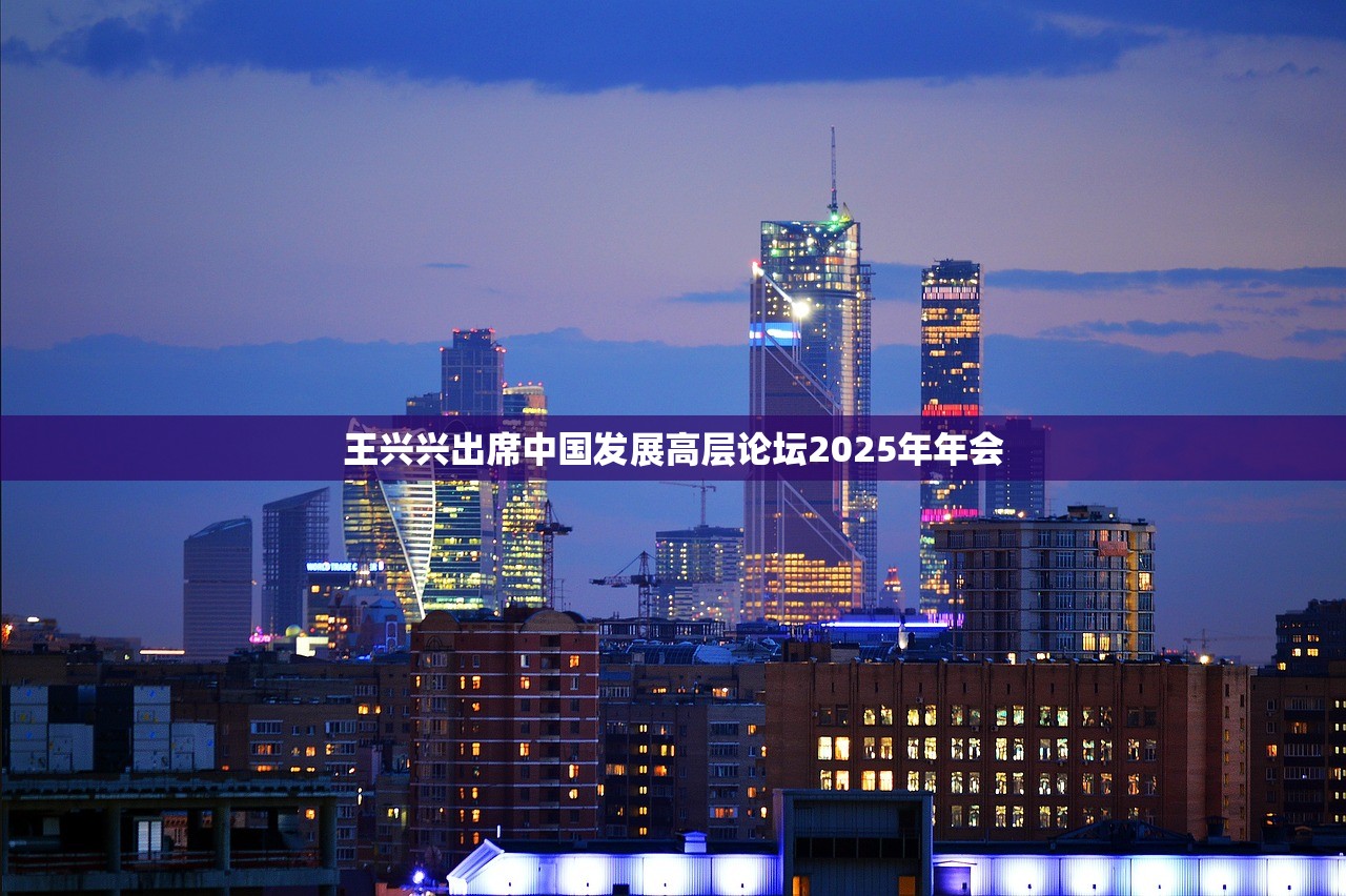 王兴兴出席中国发展高层论坛2025年年会
