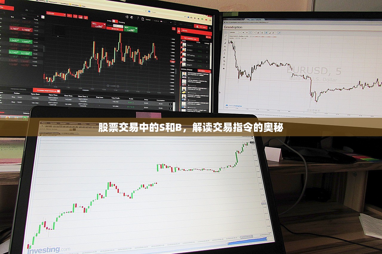 股票交易中的S和B，解读交易指令的奥秘