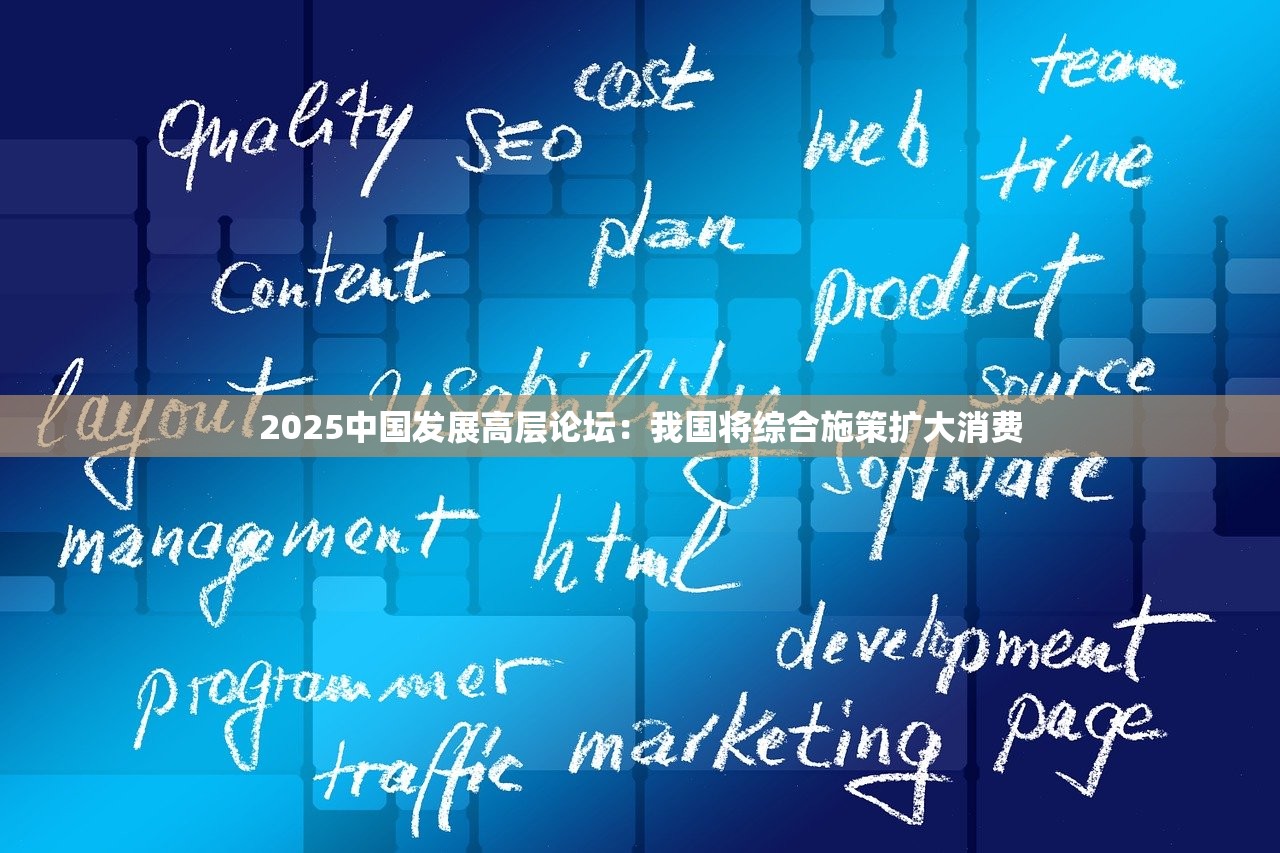 2025中国发展高层论坛：我国将综合施策扩大消费