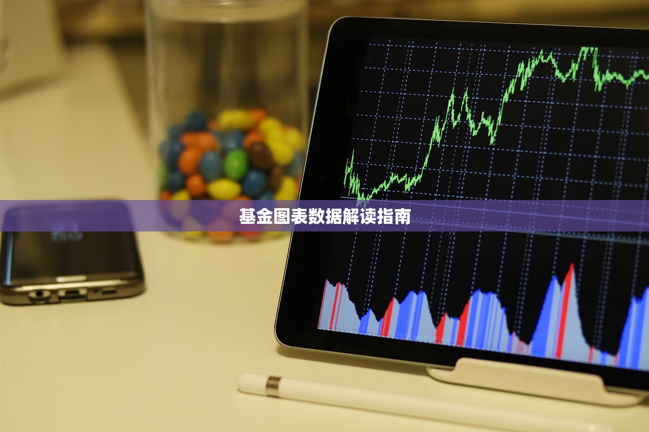 基金图表数据解读指南