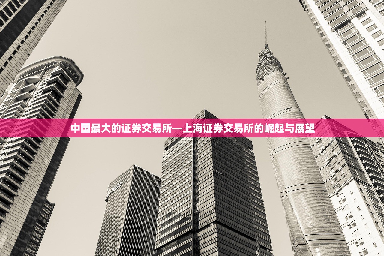 中国最大的证券交易所—上海证券交易所的崛起与展望