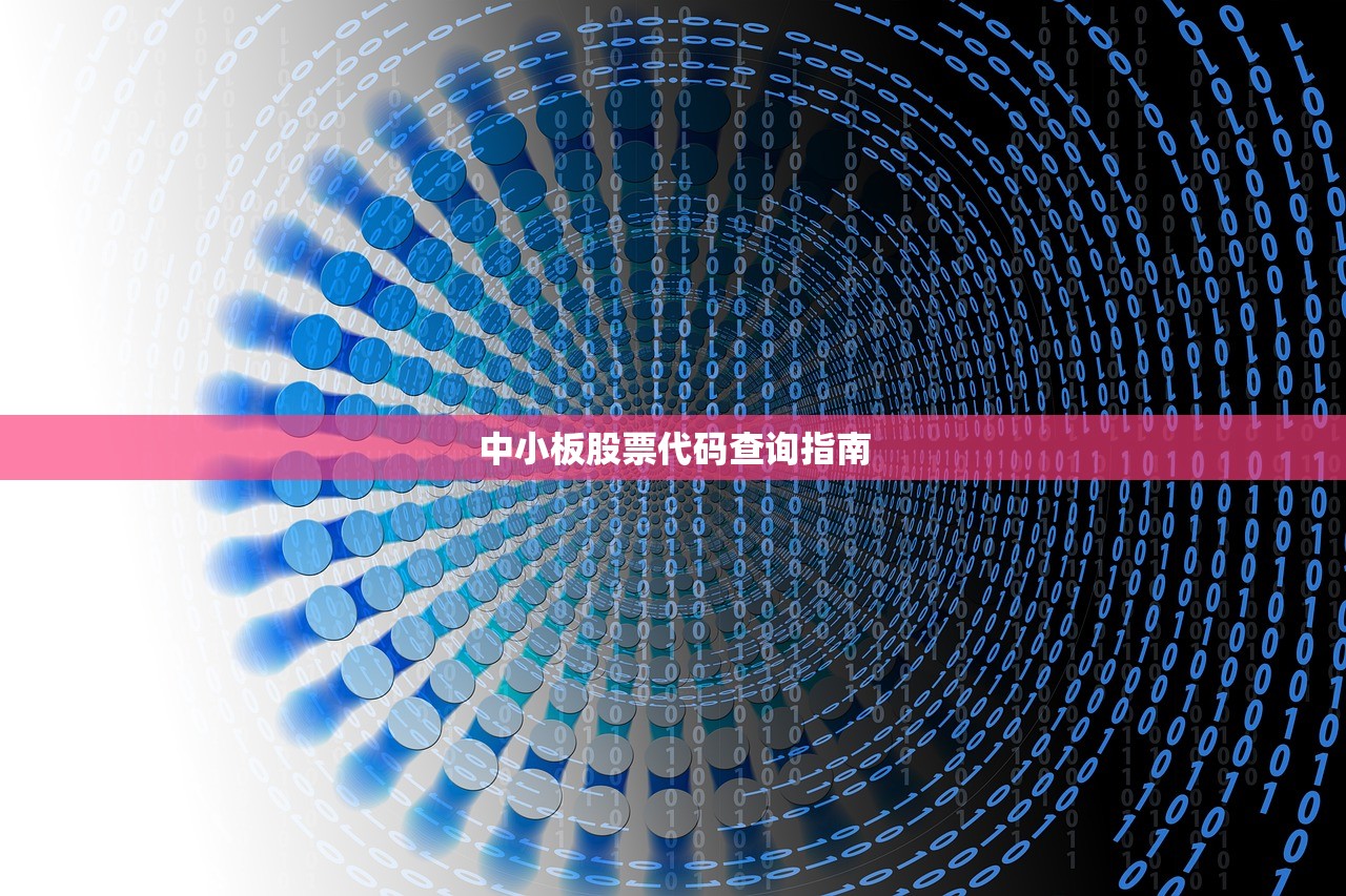 中小板股票代码查询指南