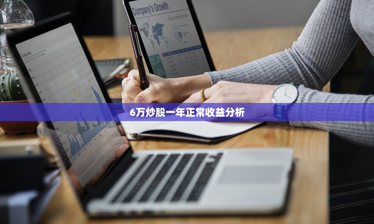 6万炒股一年正常收益分析