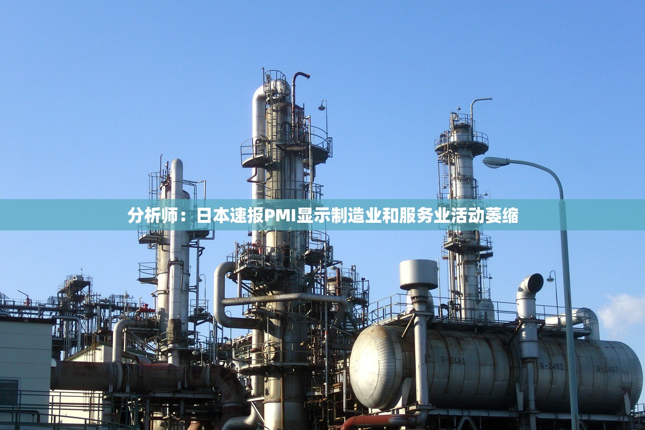 分析师：日本速报PMI显示制造业和服务业活动萎缩