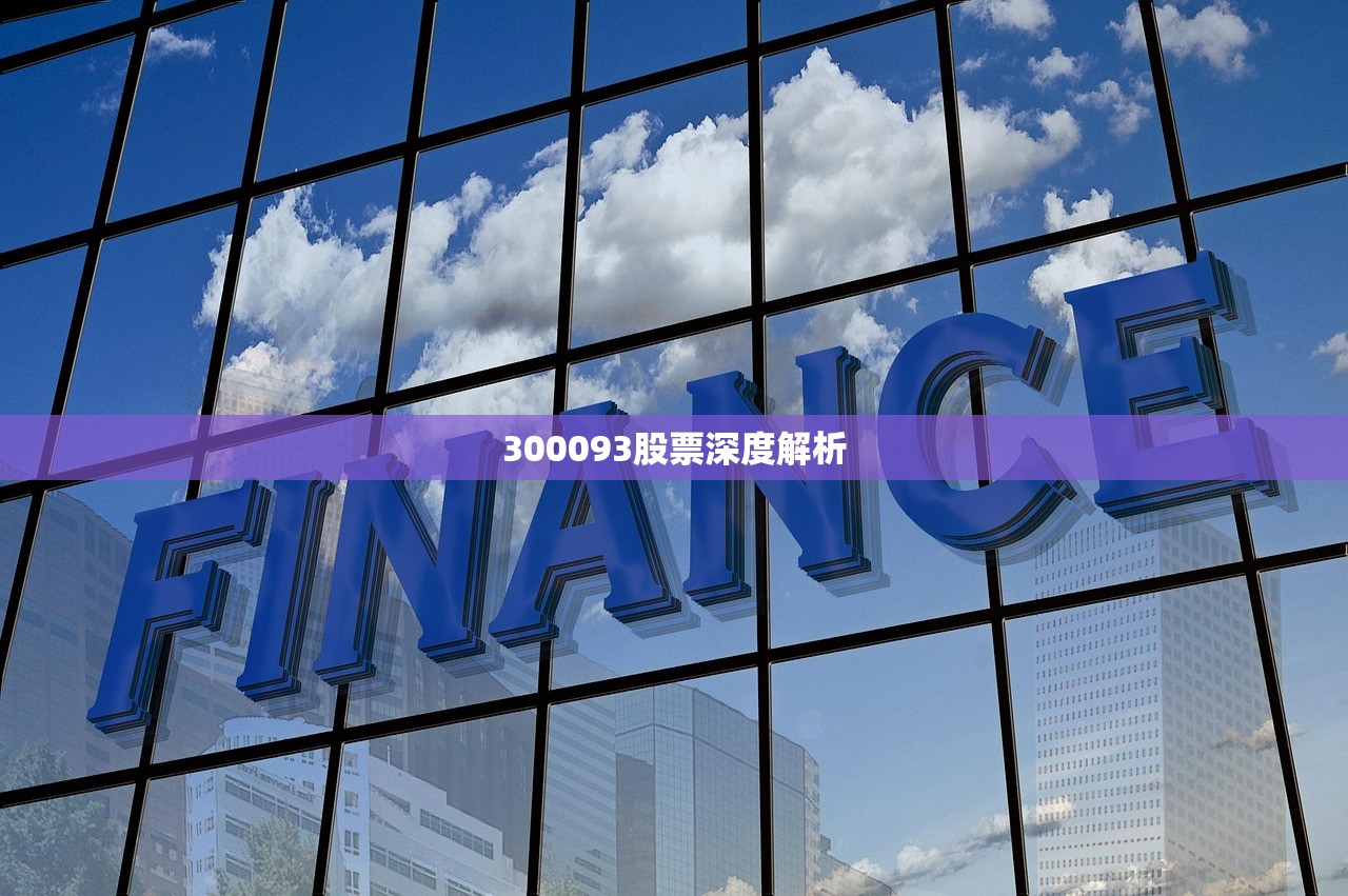 300093股票深度解析