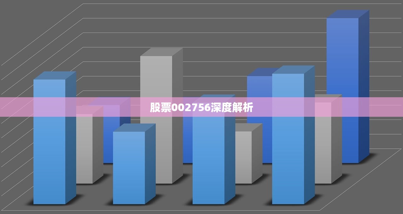 股票002756深度解析