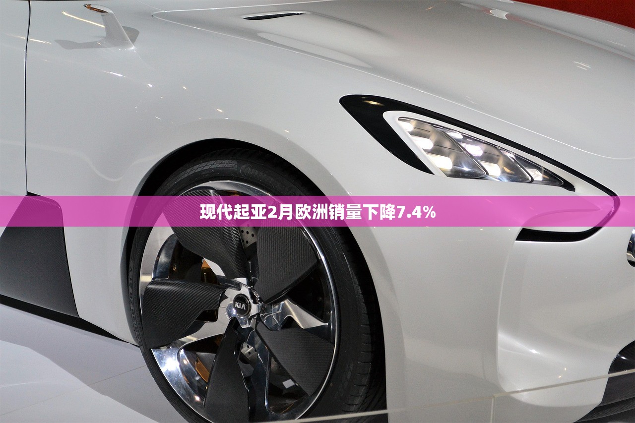 现代起亚2月欧洲销量下降7.4%