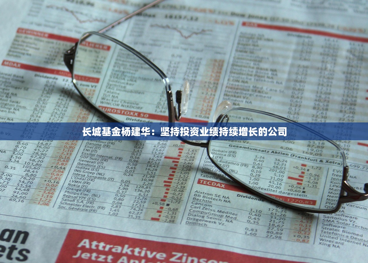 长城基金杨建华：坚持投资业绩持续增长的公司