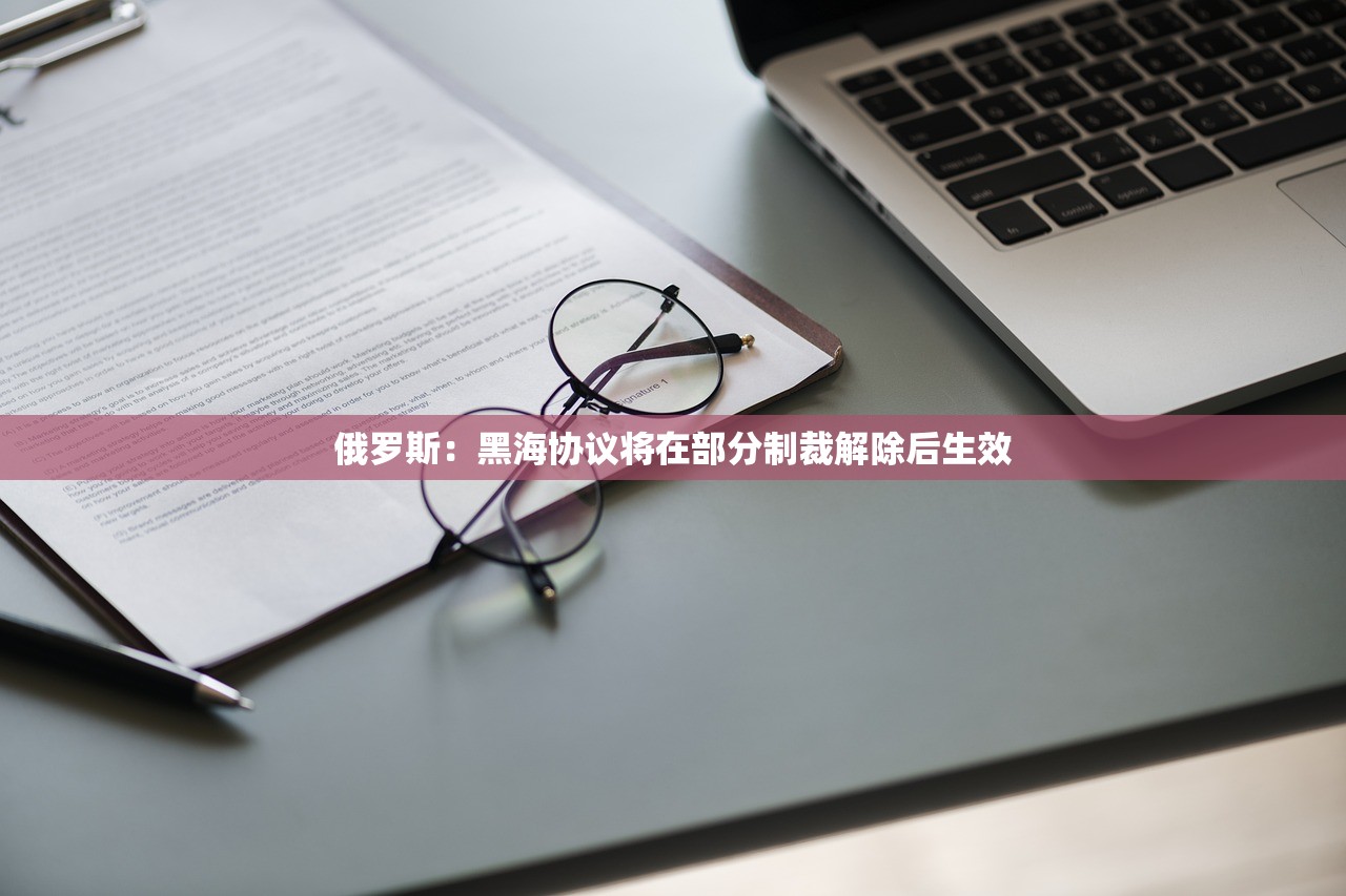 俄罗斯：黑海协议将在部分制裁解除后生效
