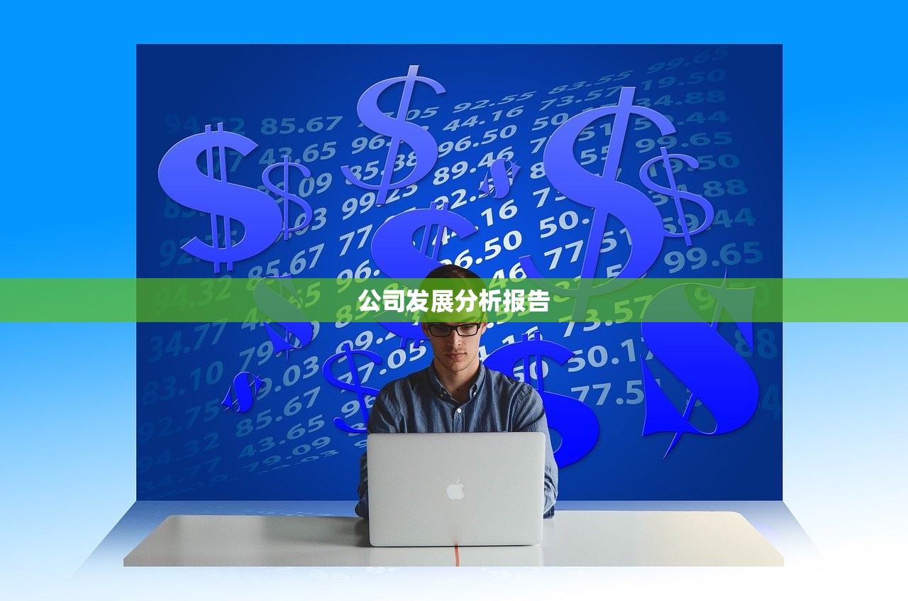公司发展分析报告 公司发展分析报告
