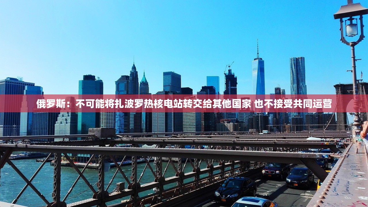俄罗斯：不可能将扎波罗热核电站转交给其他国家 也不接受共同运营
