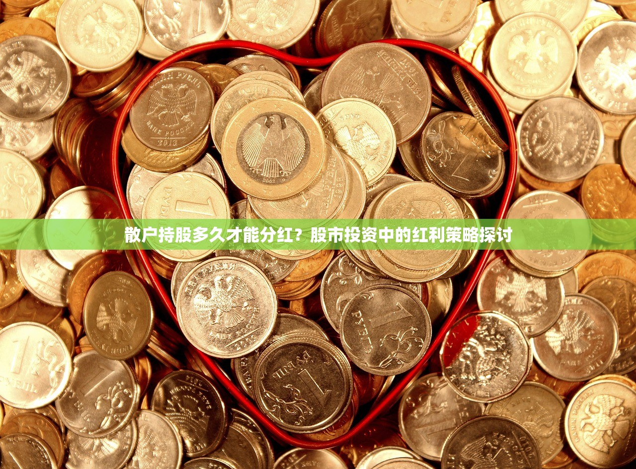 散户持股多久才能分红？股市投资中的红利策略探讨