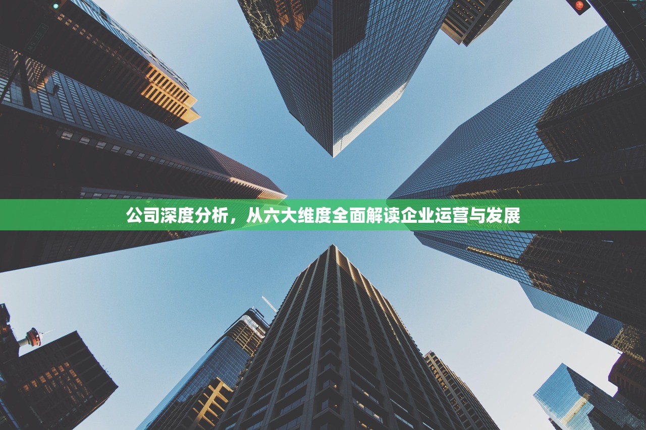 公司深度分析,从六大维度全面解读企业运营与发展 公司深度分析,从六大维度全面解读企业运营与发展