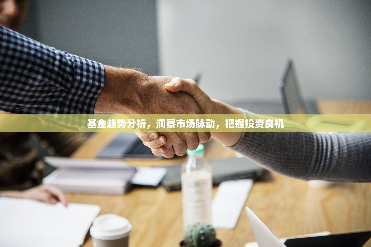 基金趋势分析，洞察市场脉动，把握投资良机