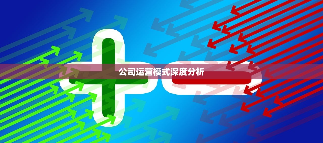公司运营模式深度分析