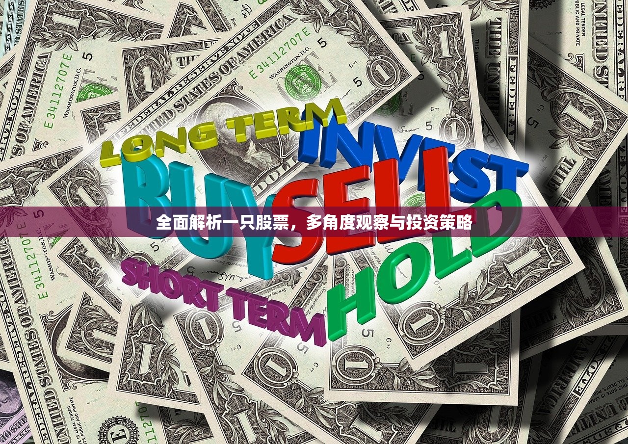全面解析一只股票,多角度观察与投资策略 全面解析一只股票,多角度观察与投资策略