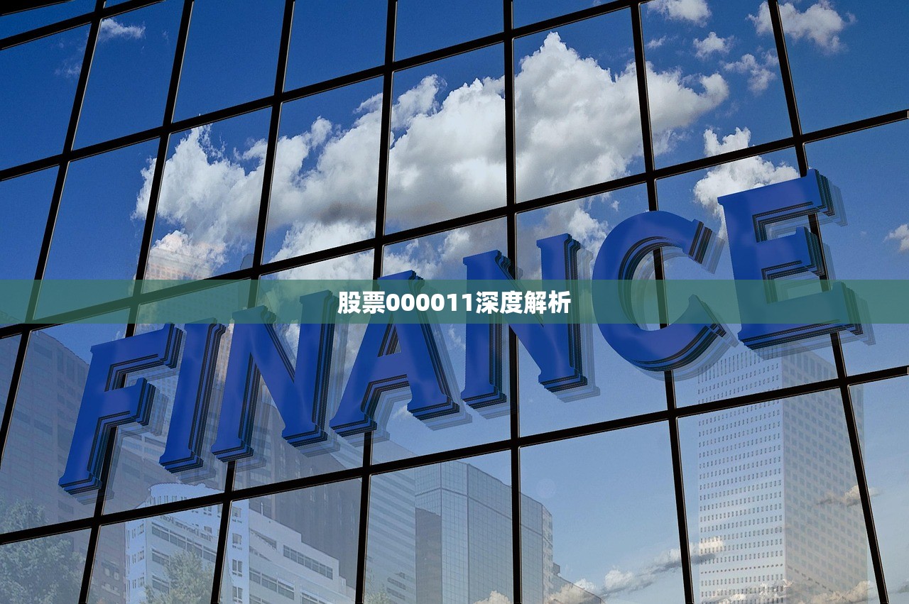 股票000011深度解析