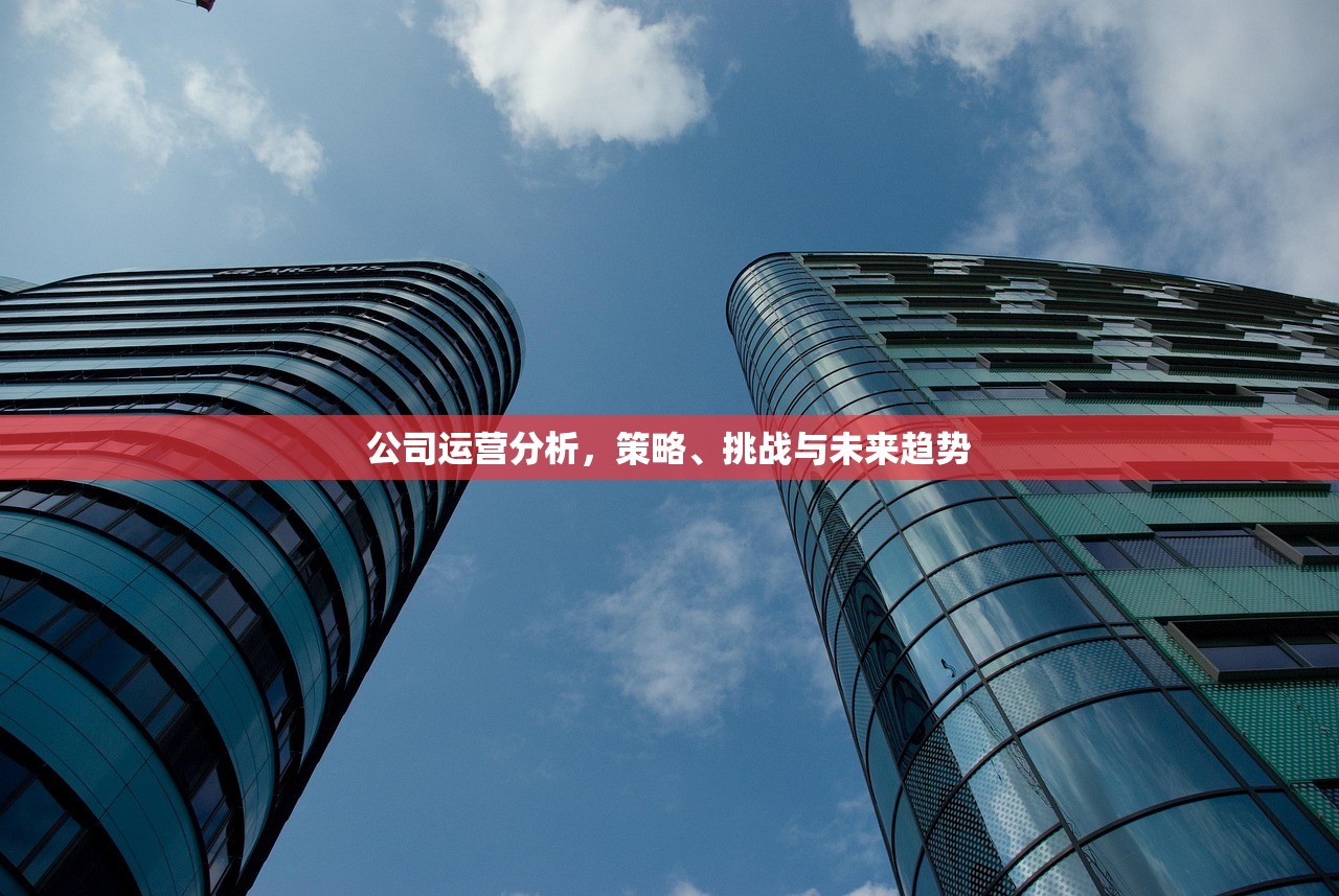 公司运营分析，策略、挑战与未来趋势