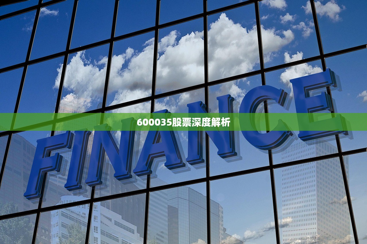 600035股票深度解析