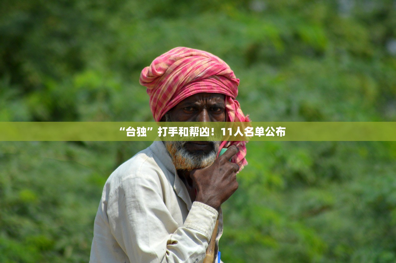 “台独”打手和帮凶！11人名单公布