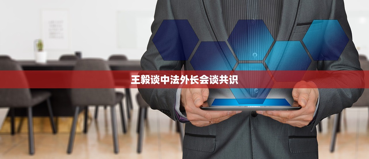 王毅谈中法外长会谈共识