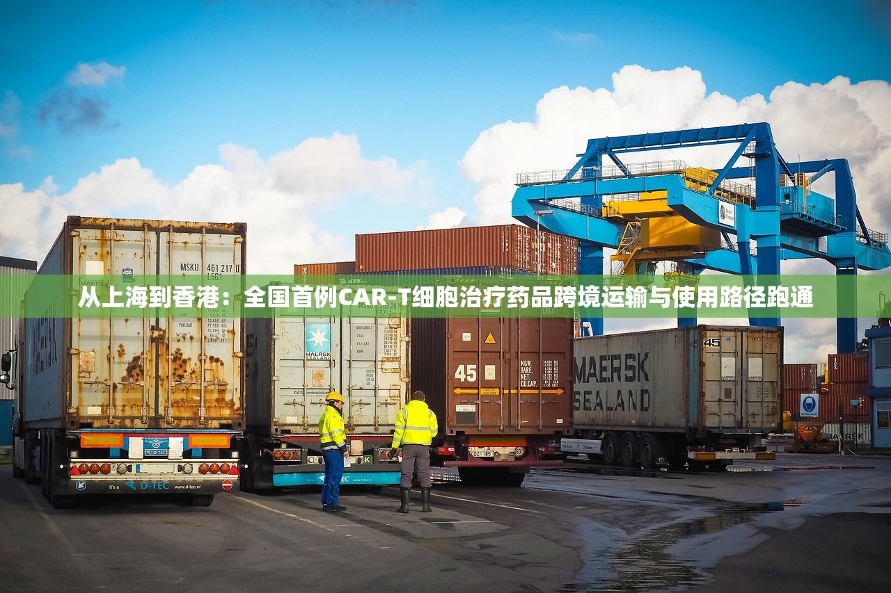 从上海到香港：全国首例CAR-T细胞治疗药品跨境运输与使用路径跑通