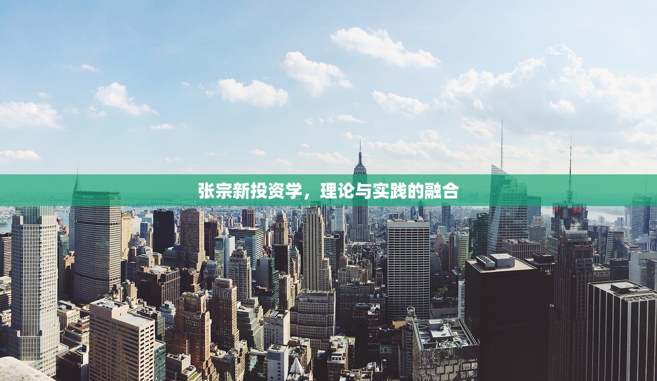 张宗新投资学,理论与实践的融合 张宗新投资学,理论与实践的融合