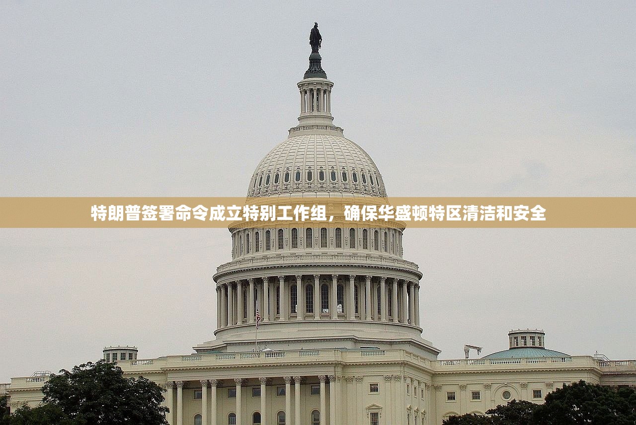 特朗普签署命令成立特别工作组，确保华盛顿特区清洁和安全