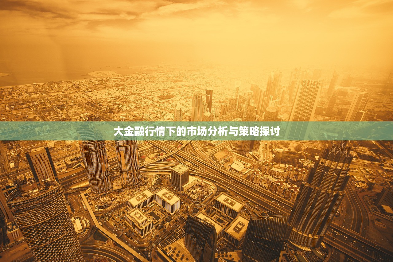 大金融行情下的市场分析与策略探讨 大金融行情下的市场分析与策略探讨