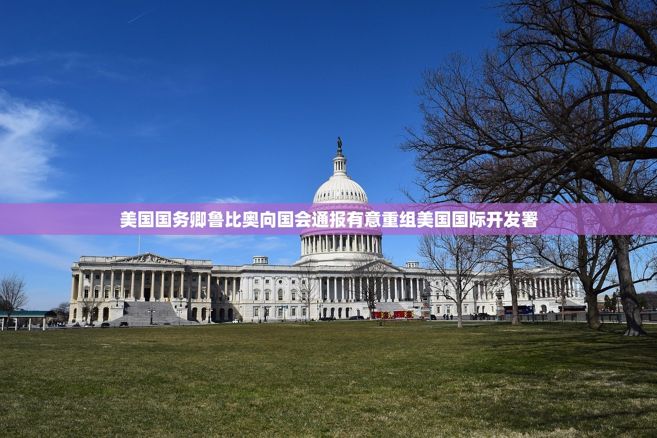 美国国务卿鲁比奥向国会通报有意重组美国国际开发署