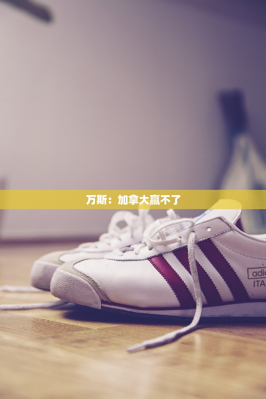 万斯：加拿大赢不了