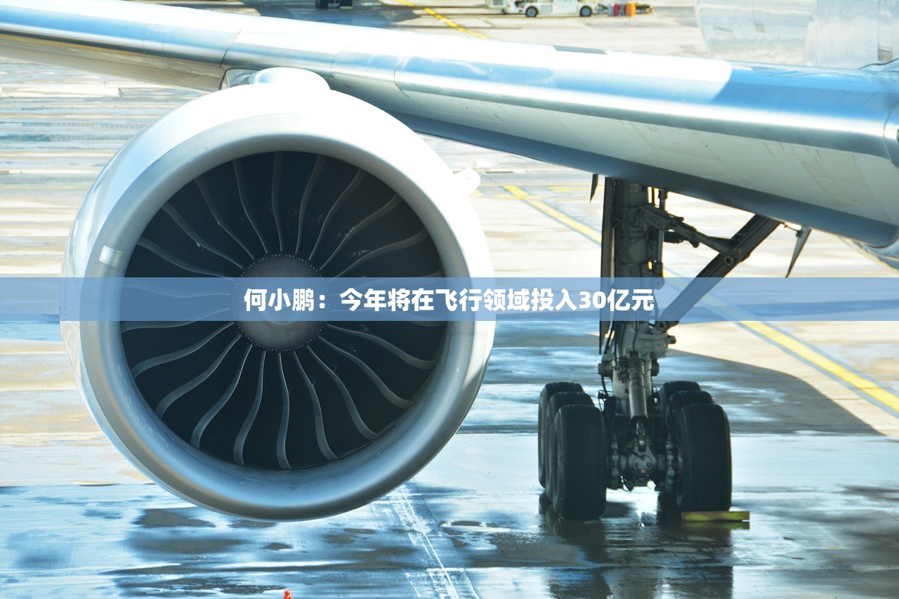 何小鹏：今年将在飞行领域投入30亿元