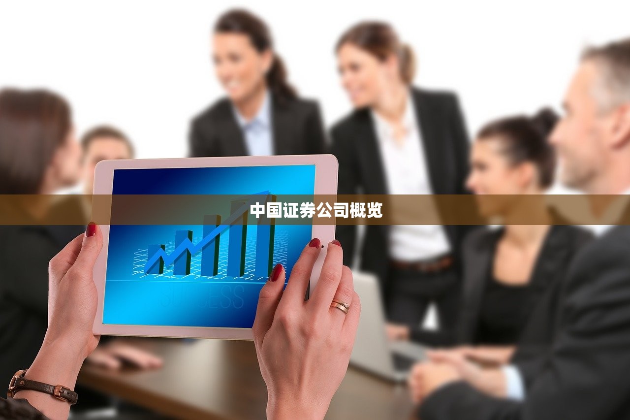 中国证券公司概览