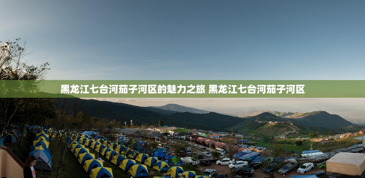 黑龙江七台河茄子河区的魅力之旅 黑龙江七台河茄子河区