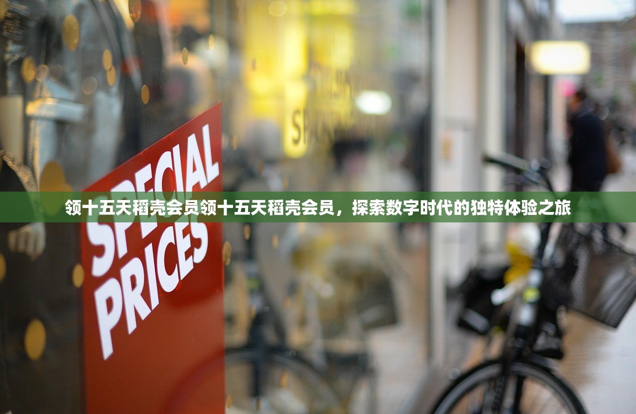 领十五天稻壳会员领十五天稻壳会员，探索数字时代的独特体验之旅