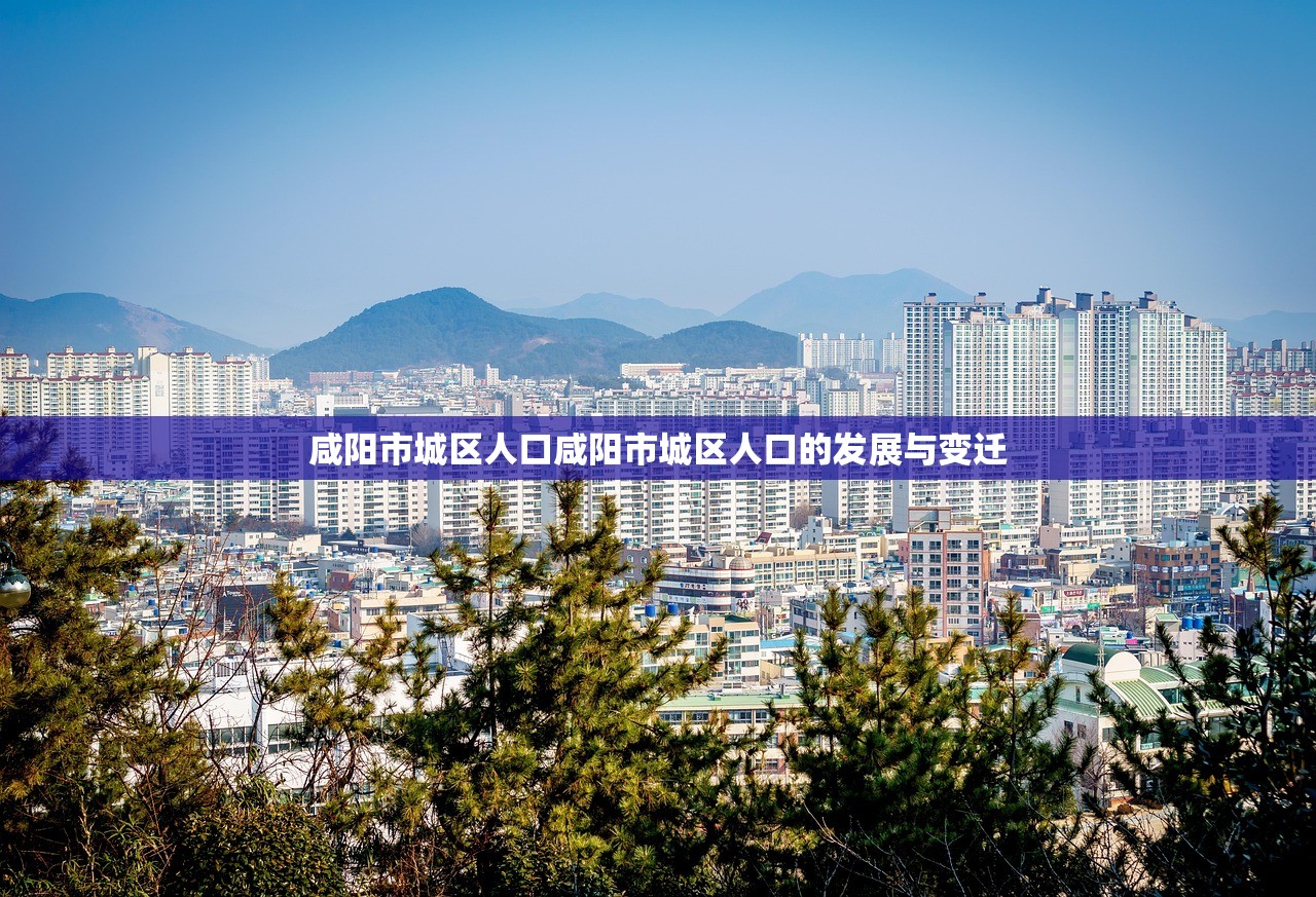 咸阳市城区人口咸阳市城区人口的发展与变迁