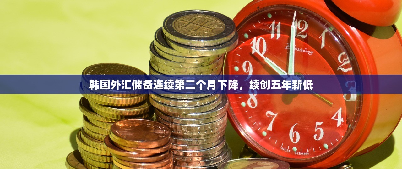 韩国外汇储备连续第二个月下降，续创五年新低