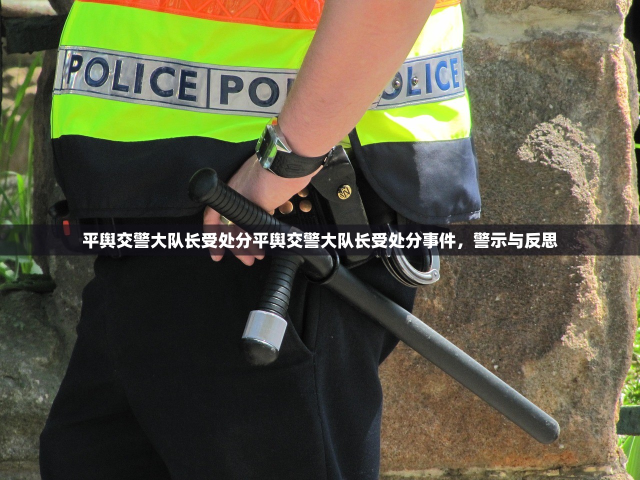 平舆交警大队长受处分平舆交警大队长受处分事件，警示与反思