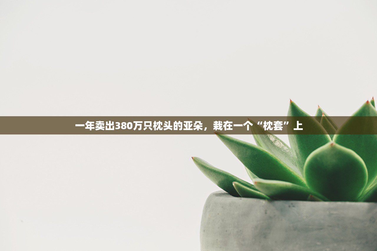 一年卖出380万只枕头的亚朵，栽在一个“枕套”上