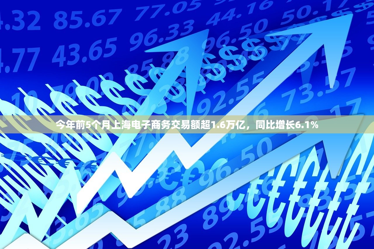 今年前5个月上海电子商务交易额超1.6万亿，同比增长6.1%