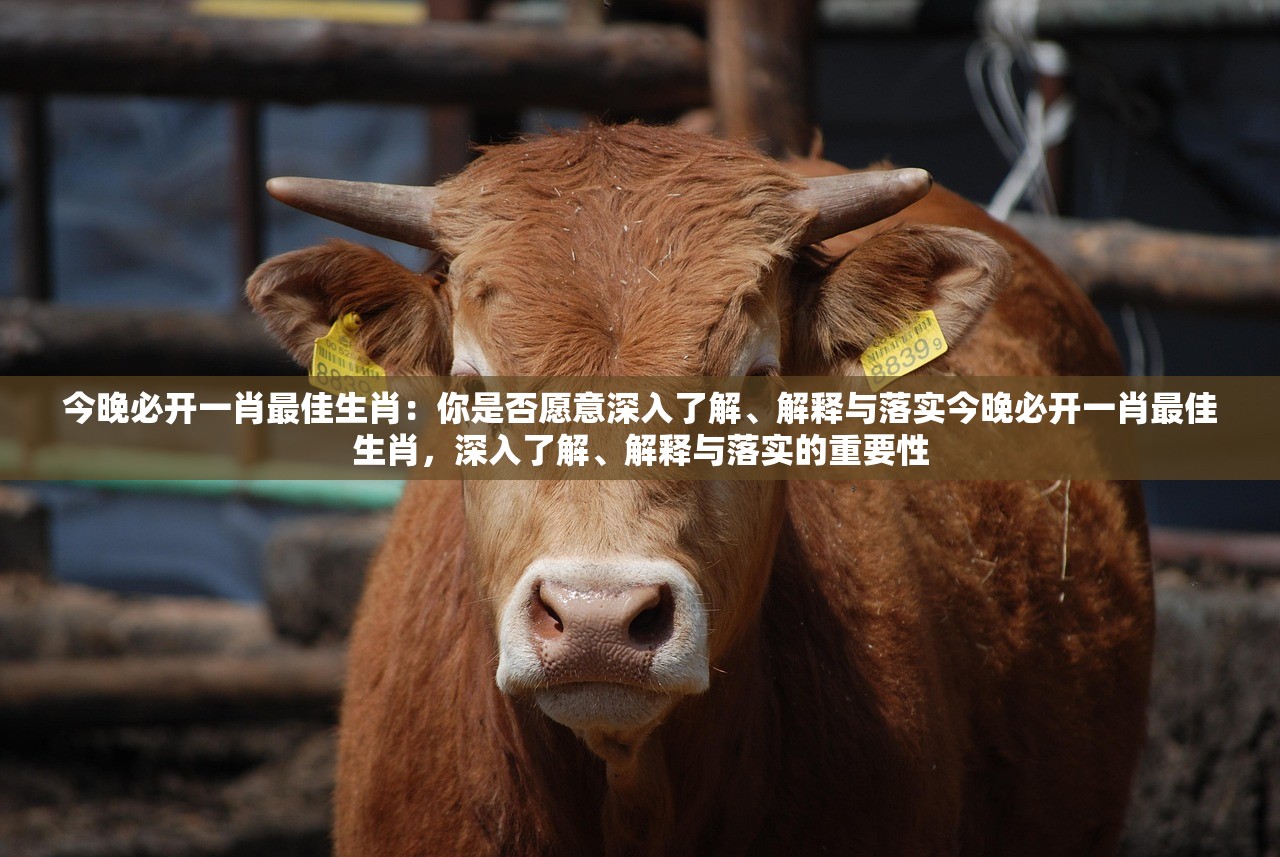 今晚必开一肖最佳生肖：你是否愿意深入了解、解释与落实今晚必开一肖最佳生肖，深入了解、解释与落实的重要性