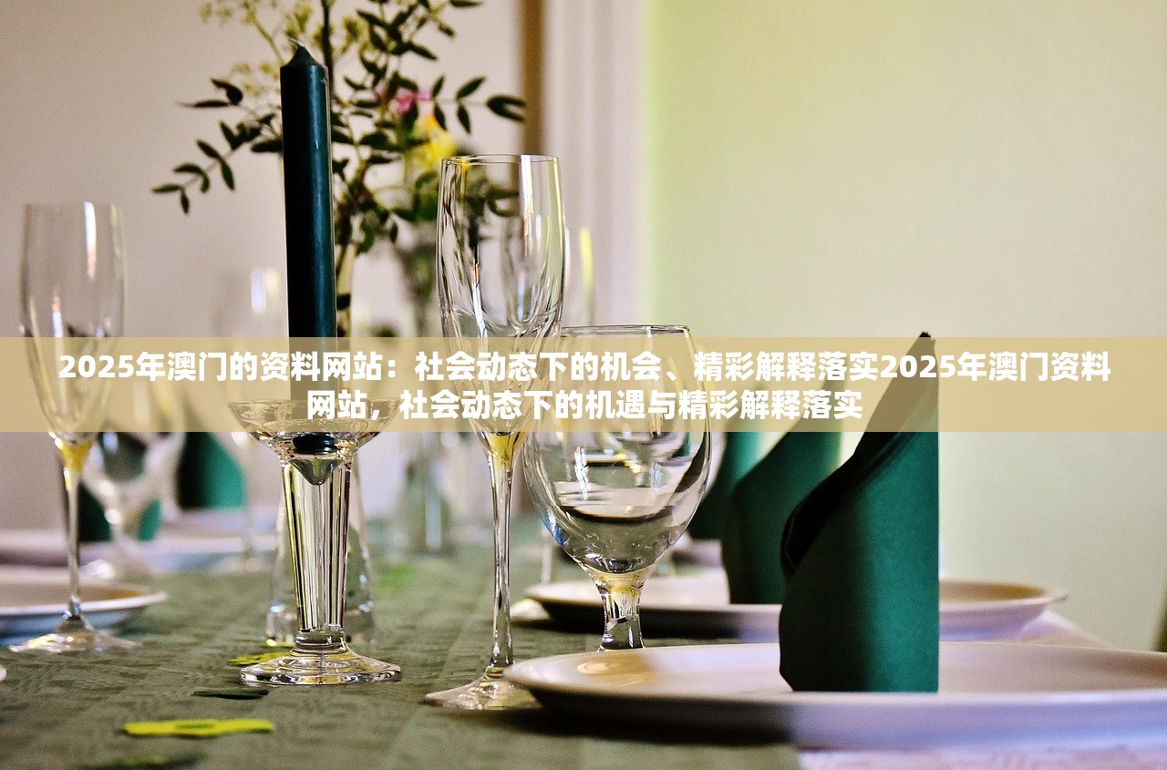 2025年澳门的资料网站：社会动态下的机会、精彩解释落实2025年澳门资料网站，社会动态下的机遇与精彩解释落实