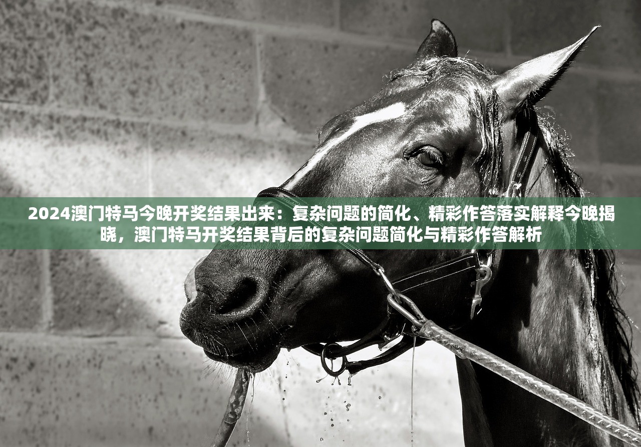 2024澳门特马今晚开奖结果出来：复杂问题的简化、精彩作答落实解释今晚揭晓，澳门特马开奖结果背后的复杂问题简化与精彩作答解析