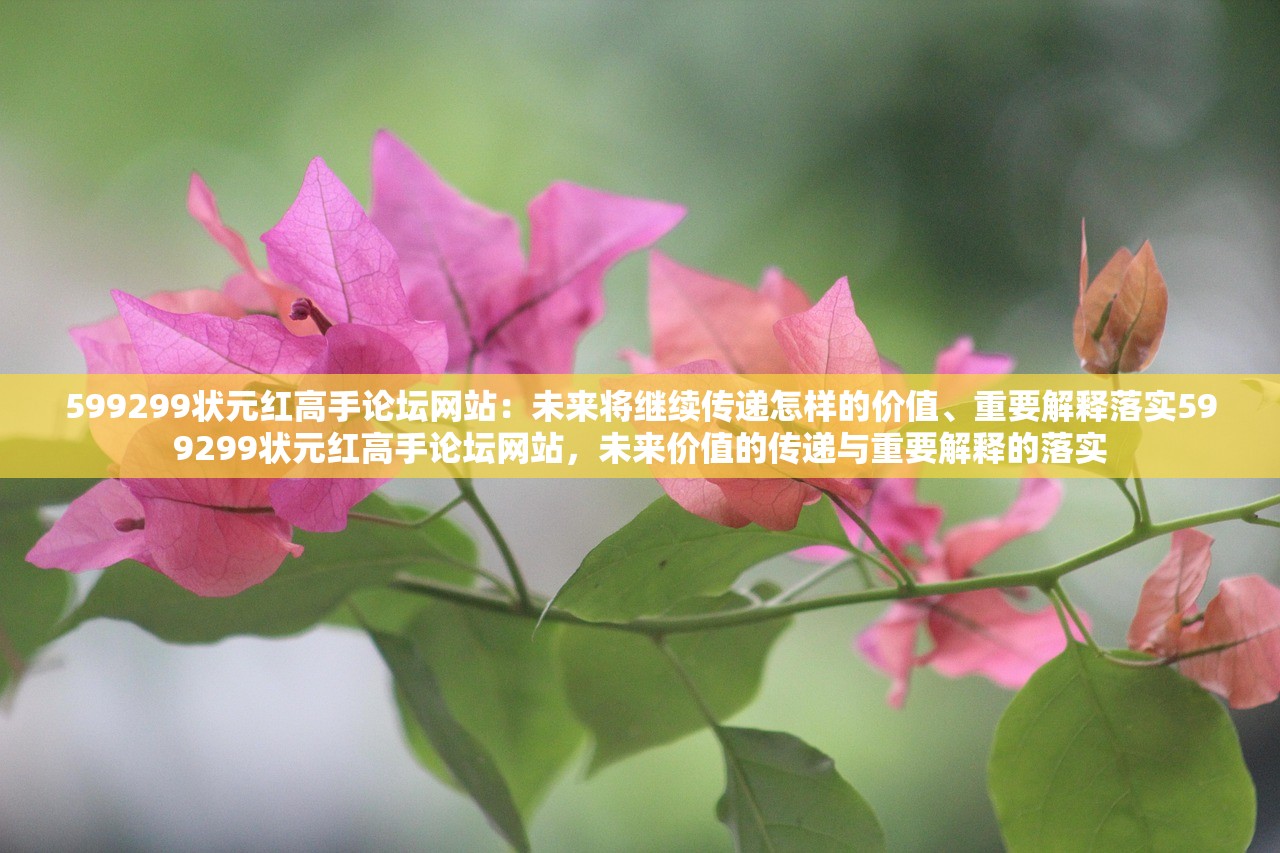 599299状元红高手论坛网站：未来将继续传递怎样的价值、重要解释落实599299状元红高手论坛网站，未来价值的传递与重要解释的落实