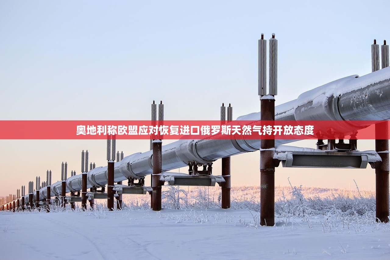 奥地利称欧盟应对恢复进口俄罗斯天然气持开放态度